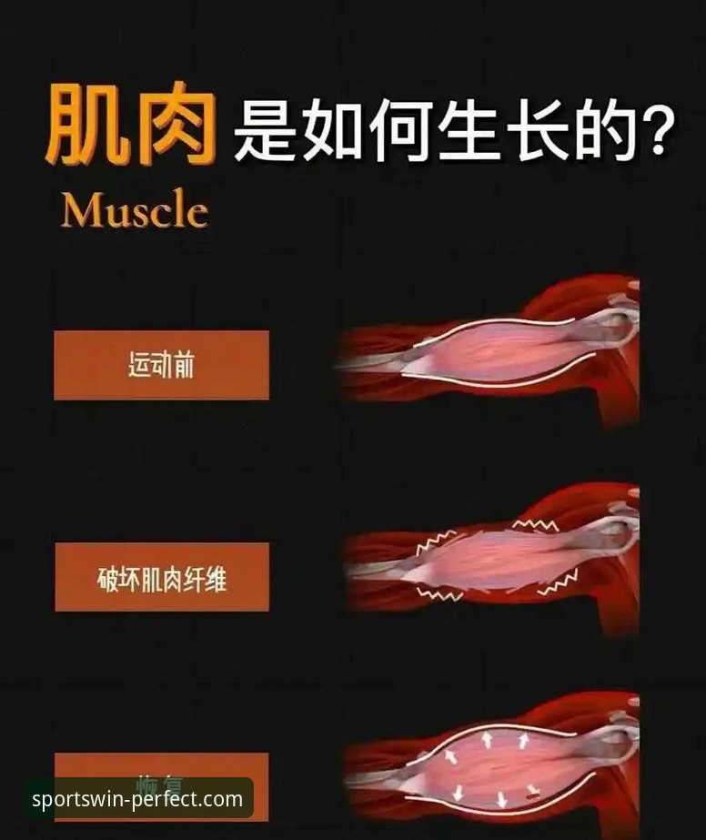 完美体育体育APPiOS版 完美体育体育APPiOS版:5个新手必看的使用技巧与下载指南